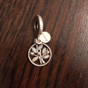 “Family” PANDORA charm